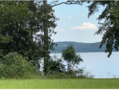 Lake Eufaula / Walter F George Reservoir Lot For Sale in Eufaula Alabama