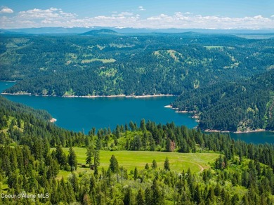 Fantastic 618 acres overlooking the Dworshak Reservoir with - photo 11