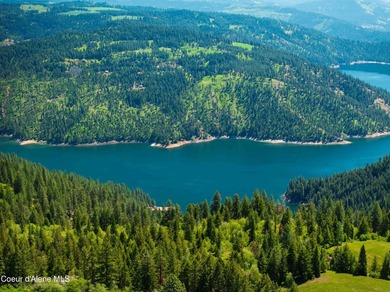 Fantastic 618 acres overlooking the Dworshak Reservoir with - photo 12