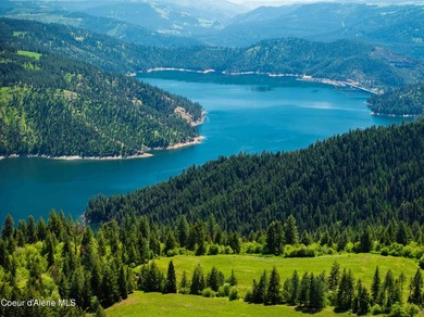 Fantastic 618 acres overlooking the Dworshak Reservoir with - photo 13