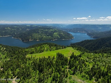 Fantastic 618 acres overlooking the Dworshak Reservoir with - photo 14