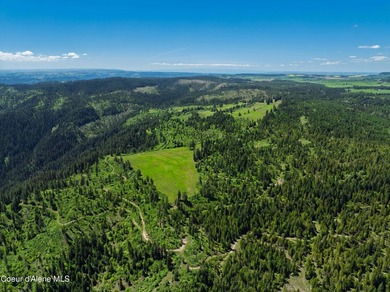 Fantastic 618 acres overlooking the Dworshak Reservoir with - photo 15