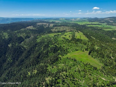 Fantastic 618 acres overlooking the Dworshak Reservoir with - photo 16
