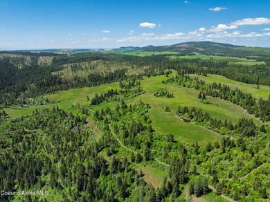 Fantastic 618 acres overlooking the Dworshak Reservoir with - photo 17