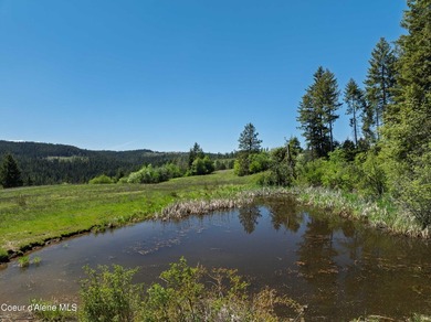 Fantastic 618 acres overlooking the Dworshak Reservoir with - photo 18