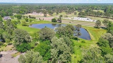 Southern Living! Enter the gated, curving driveway around a - photo 21