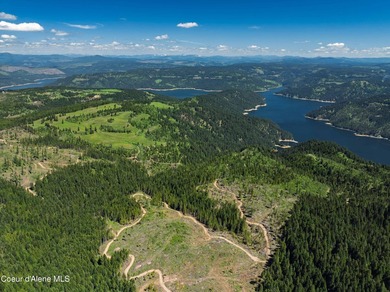 Fantastic 618 acres overlooking the Dworshak Reservoir with - photo 22
