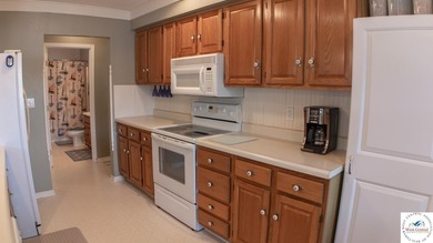 Experience lakefront living at its finest in this stunning - photo 22
