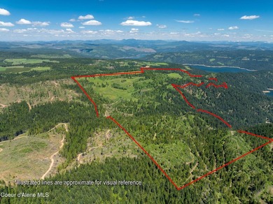 Fantastic 618 acres overlooking the Dworshak Reservoir with - photo 23