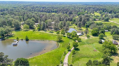 Southern Living! Enter the gated, curving driveway around a - photo 23