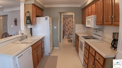 Experience lakefront living at its finest in this stunning - photo 23