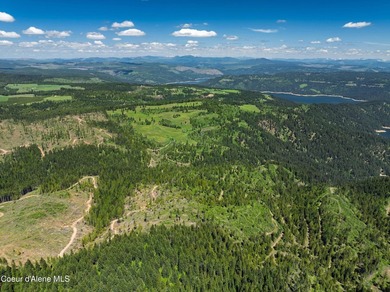 Fantastic 618 acres overlooking the Dworshak Reservoir with - photo 24