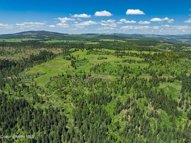 Fantastic 618 acres overlooking the Dworshak Reservoir with - photo 25