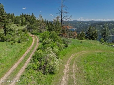 Fantastic 618 acres overlooking the Dworshak Reservoir with - photo 26