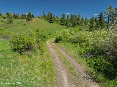 Fantastic 618 acres overlooking the Dworshak Reservoir with - photo 27
