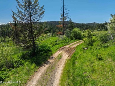 Fantastic 618 acres overlooking the Dworshak Reservoir with - photo 28