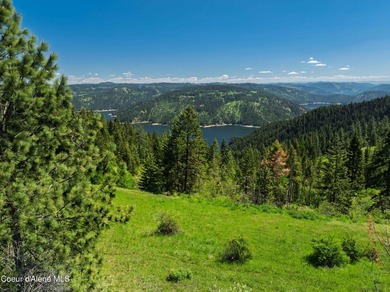 Fantastic 618 acres overlooking the Dworshak Reservoir with - photo 29