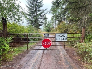 Fantastic 618 acres overlooking the Dworshak Reservoir with - photo 30