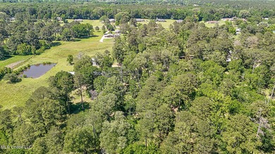 Southern Living! Enter the gated, curving driveway around a - photo 31