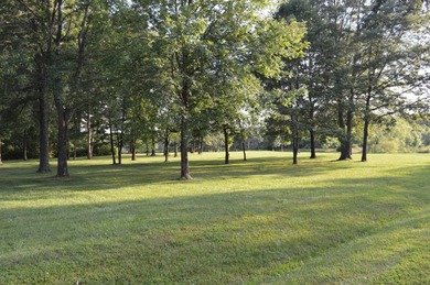 (private lake, pond, creek) Lot For Sale in Fairfield Illinois