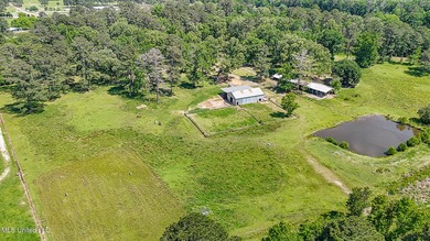 Southern Living! Enter the gated, curving driveway around a - photo 38