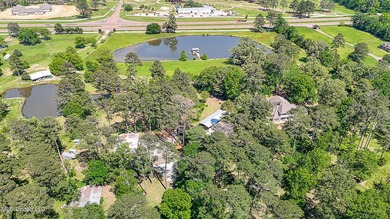 Southern Living! Enter the gated, curving driveway around a - photo 39