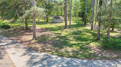 Southern Living! Enter the gated, curving driveway around a - photo 40