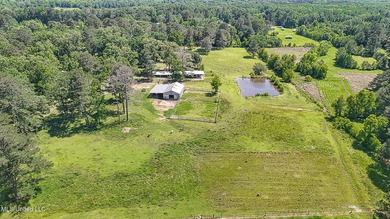 Southern Living! Enter the gated, curving driveway around a - photo 41