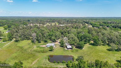 Southern Living! Enter the gated, curving driveway around a - photo 42