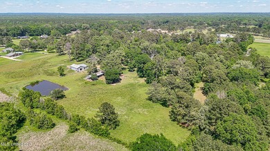 Southern Living! Enter the gated, curving driveway around a - photo 43