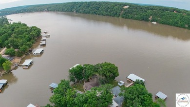 Experience lakefront living at its finest in this stunning - photo 45