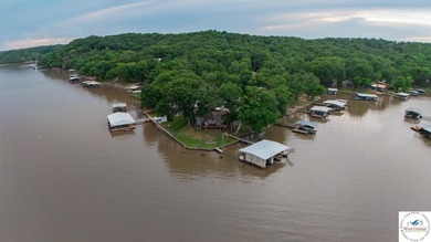 Experience lakefront living at its finest in this stunning - photo 48