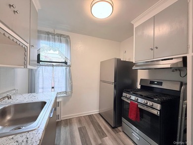 This spacious one-bedroom co-op apartment features a large - photo 3