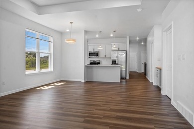 Gorgeous new-build 2BR/2BA zero-entry ranch condominium near - photo 8