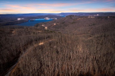 Nick-a-Jack Lake Lot For Sale in South Pittsburg Tennessee