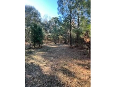 Lake Lot For Sale in Georgetown, Georgia