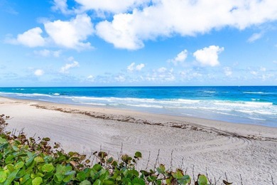 Experience refined coastal luxury on Hillsboro Mile with this - photo 31