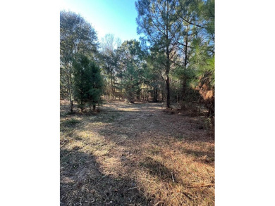 Great spot waiting for you to build your home or place a tiny - photo 2