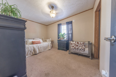 Minutes from the lake! - Home & shop! - photo 15
