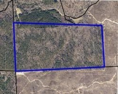 Lake Lot For Sale in Eufaula, Alabama