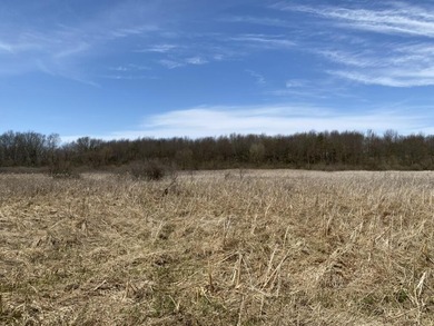 Discover a rare opportunity to own 177 acres of diverse and - photo 8