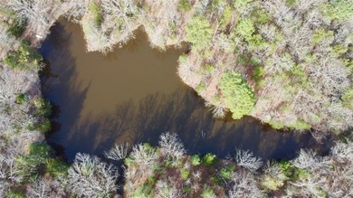 (private lake, pond, creek) Acreage Active Under Contract in Omaha Texas