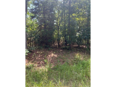 Lake Acreage For Sale in Shirley, Arkansas