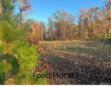 Lake Acreage For Sale in Potosi, Missouri