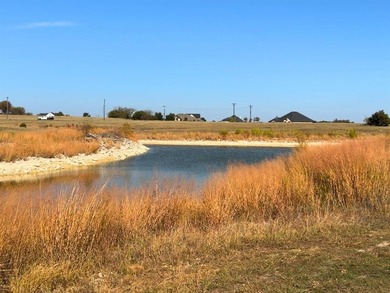 Lake Lot For Sale in Cleburne, Texas