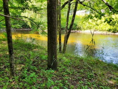 Pere Marquete River Lot For Sale in Walkerville Michigan