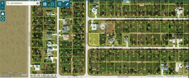 CORNER LOT PORT CHARLOTTE Beautiful oversized corner lot offers - photo 2