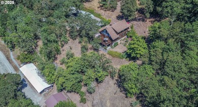 This beautiful log home features soaring ceilings and large - photo 29