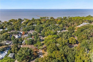 Historic Fairhope Cottage in the Fruit & Nut District - Walk to - photo 35