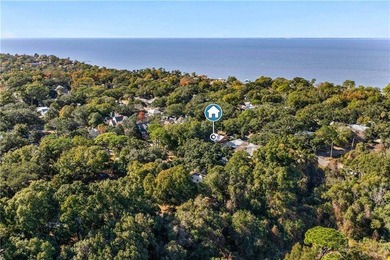 Historic Fairhope Cottage in the Fruit & Nut District - Walk to - photo 36